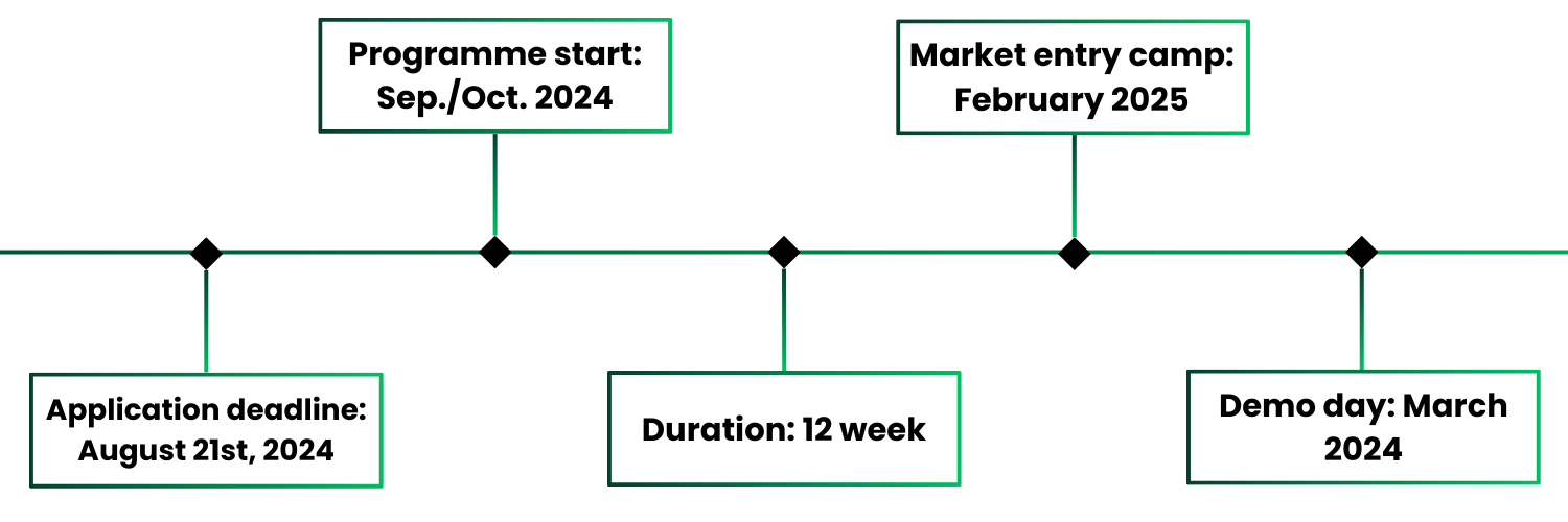 Timeline_AI_Launchpad